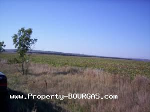 View of Land for sale, plots For sale in Chukarka