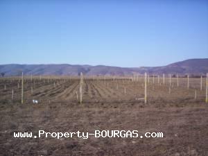 View of Land for sale, plots For sale in Polyanovo/Burgas/