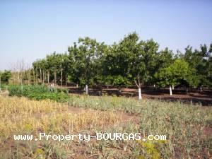 View of Land for sale, plots For sale in Burgas property