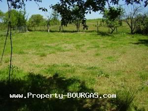 View of Land for sale, plots For sale in Drachevo