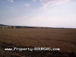 View of Land for sale, plots For sale in Pirne