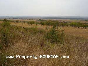 View of Land for sale, plots For sale in Kosharica