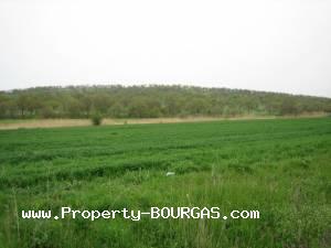 View of Land for sale, plots For sale in Cherni Vrah