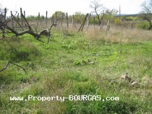 View of Houses For sale in Orlintsi
