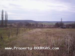 View of Land for sale, plots For sale in Topolitsa