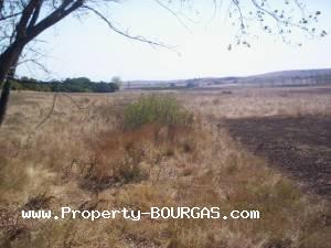 View of Land for sale, plots For sale in Dabnik