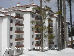 View of Large apartments For sale in Pamporovo